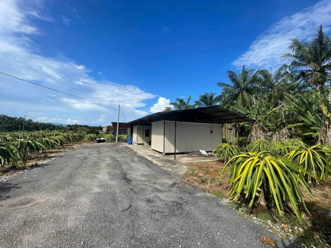 Tanah Industri Corner Lot Sepang Industrial Park 2 Sepang Selangor 1.112 Ekar