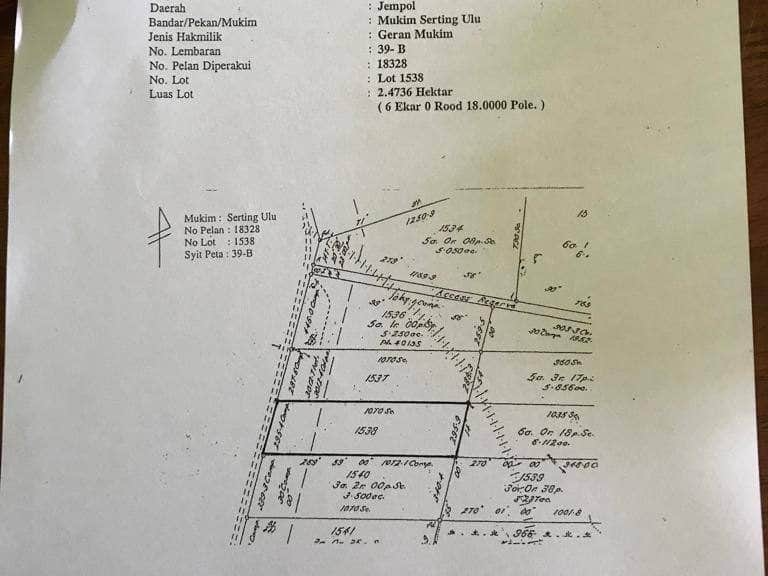 Tanah 6 Ekar Freehold Batu Kikir Jempol