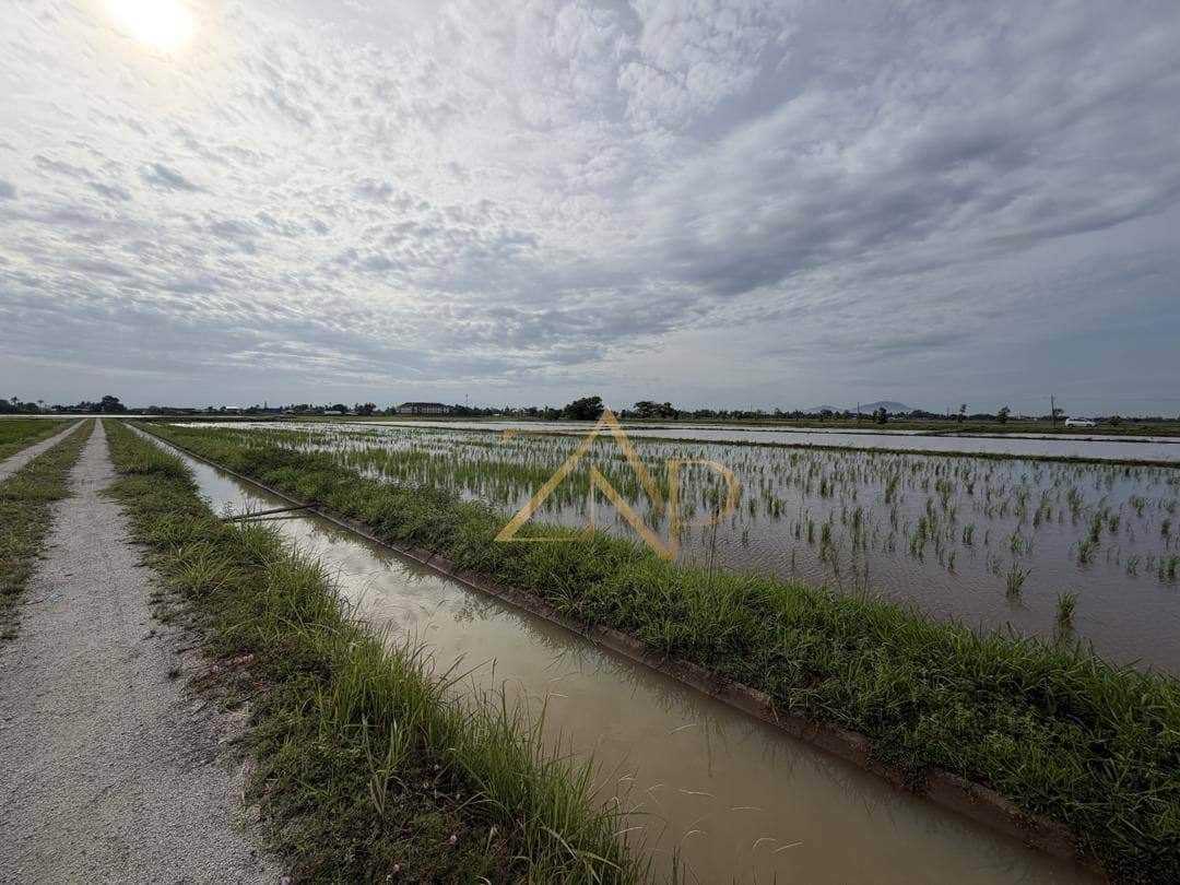 Sawah Padi Teluk Air Tawar Seberang Perai Utara Pulau Pinang 27828 Sqft Freehold International Tepi Tali Air