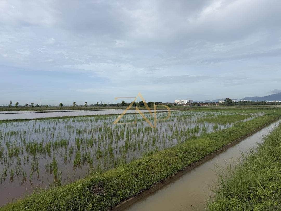 Tanah Sawah Teluk Air Tawar Penang 27,828 Kaki Persegi Freehold