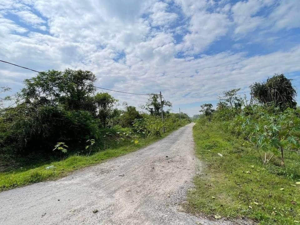 Tanah 16 Lot Bangunan Pulau Meranti Puchong Selangor 94000 Sqft