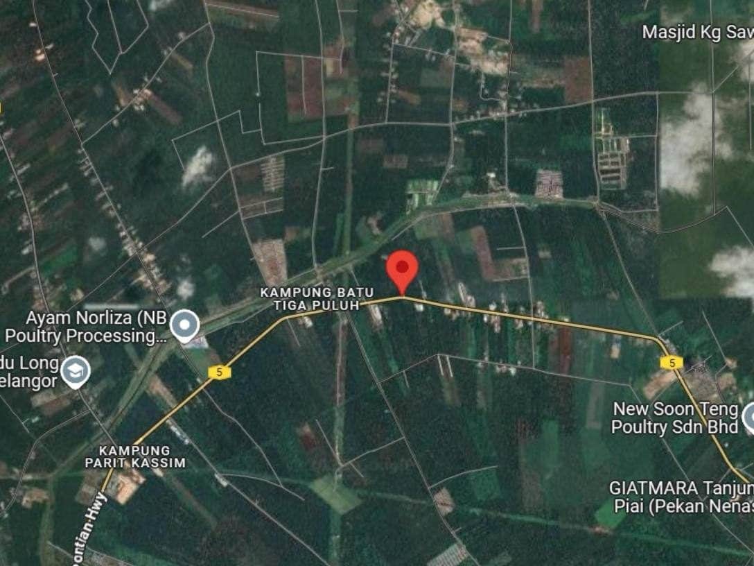 Tanah Pertanian 26.27 Ekar Freehold Lebuhraya Skudai Pontian