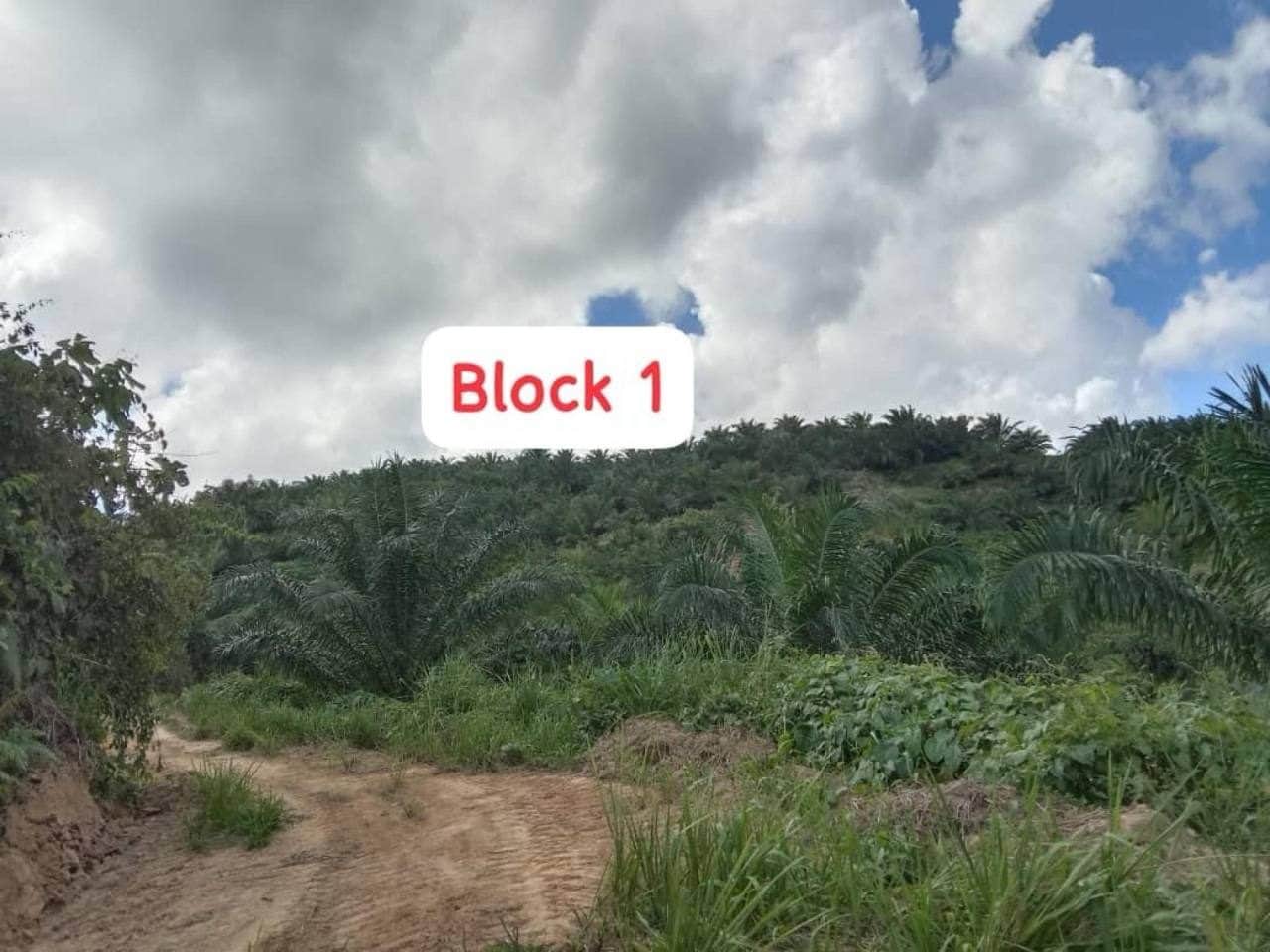 Tanah Pertanian 2,460 Ekar Freehold Ranau Sabah