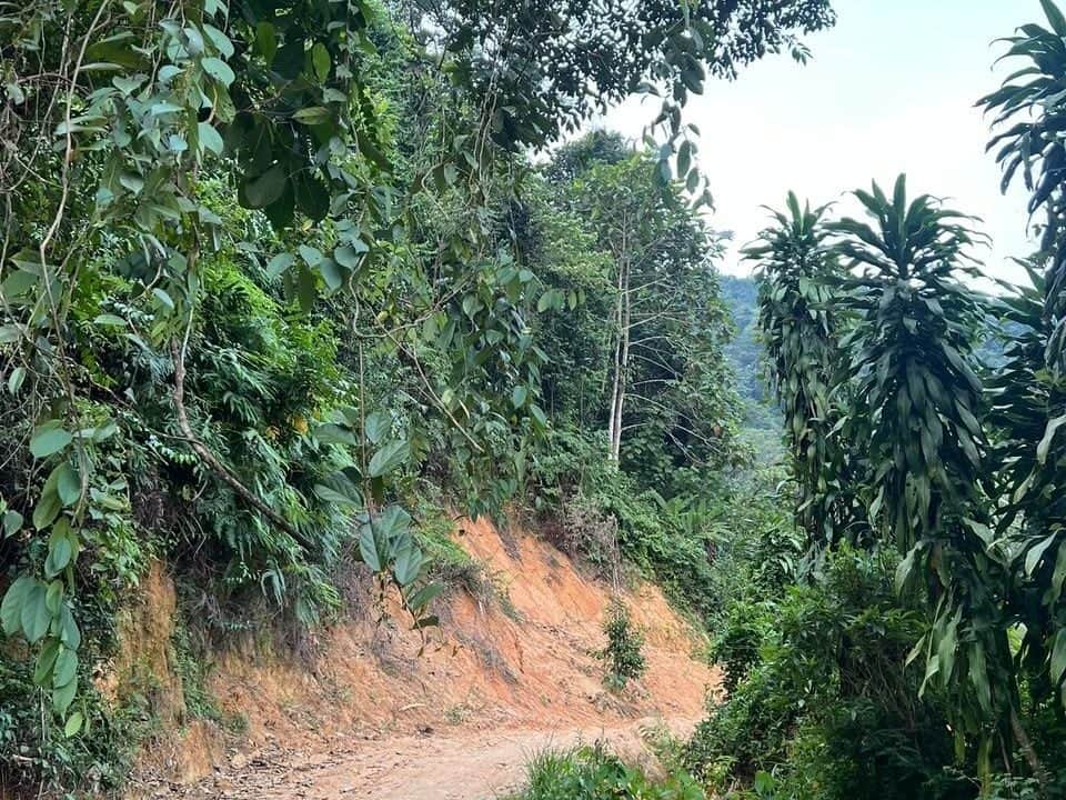 Tanah Pertanian 2 Ekar Tambun Ipoh Perak