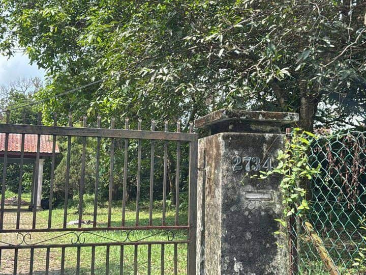 Tanah 2 Ekar Freehold Dikelilingi Jalan Kuang Bukit Rahman Putra
