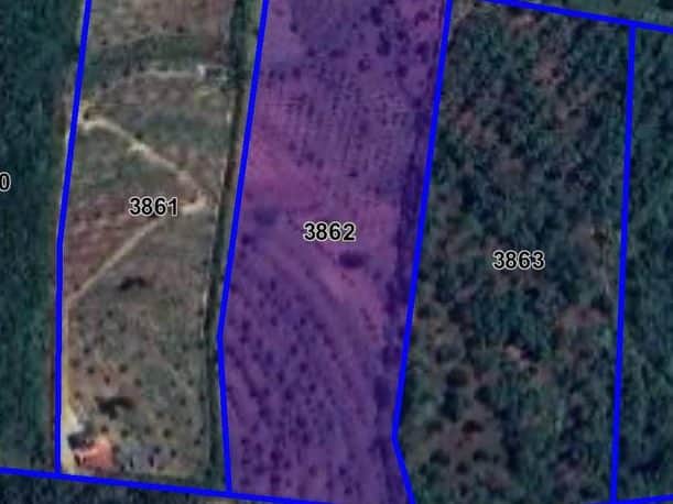 Tanah Dusun 3.89 Ekar Freehold Tiada Sekatan Sungkai Perak