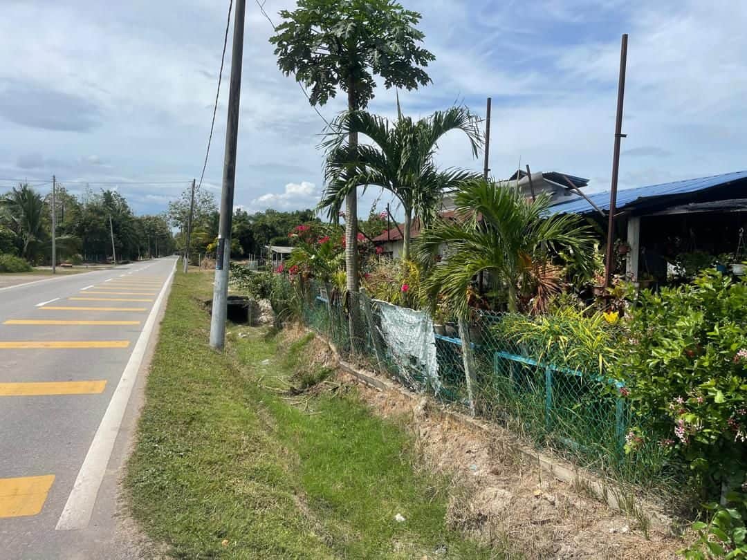 Tanah Pertanian 7.23 Ekar Tepi Jalan Kampung Baharu Tasek Gelugor Pulau Pinang Freehold