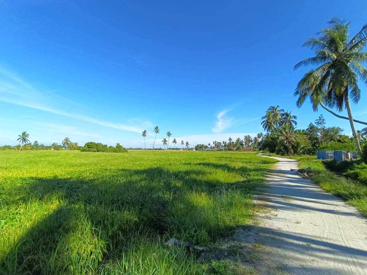 Tanah Sawah 15,084 Kaki Persegi Sungai Kedak Penaga Pulau Pinang Freehold First Grade