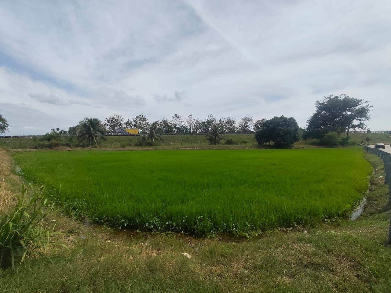 Tanah Pembangunan 21,301 Kaki Persegi Jalan Seri Serdang Kepala Batas Pulau Pinang Freehold