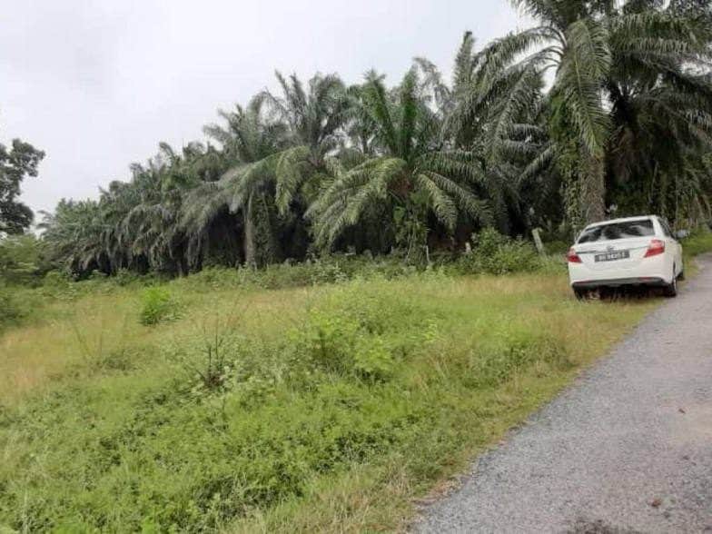 Tanah Banglo 9806 sqft Pantai Sepat Kuantan Corner Lot Dekat Pantai